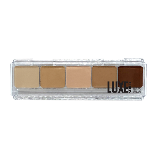 Luxe Perfect Conceal #2