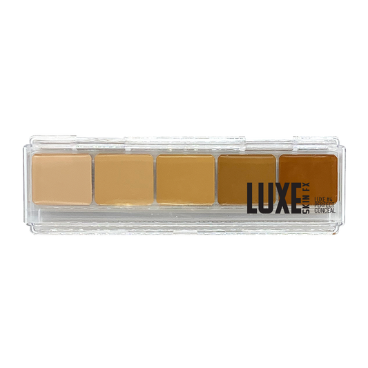 Luxe Perfect Conceal #4