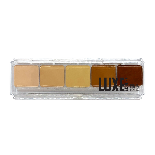 Luxe Perfect Conceal #5