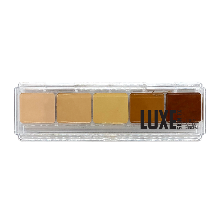 Luxe Perfect Conceal #5
